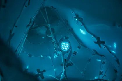 ZodiacBet Casino Mobilapp